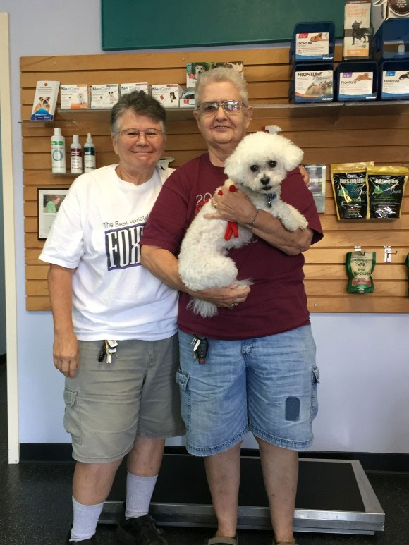 Four Paws Animal Clinic Partners with Vets to Vets Four Paws Animal